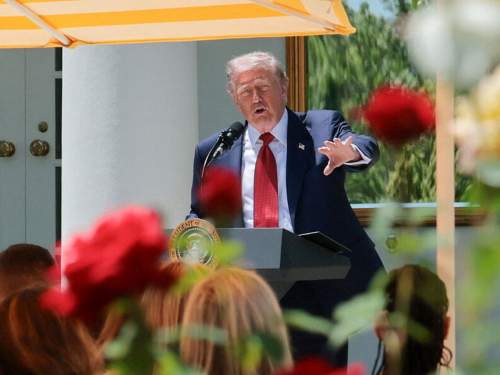 Трамп заявил о перемирии РФ и Украины 9–11 мая: что ответили Москва и Киев