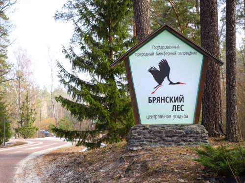 При ударе ВСУ по Брянской области погиб директор заповедника «Брянский лес»