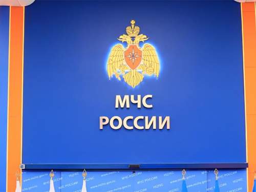 Главный финансист МЧС отправлена под домашний арест Главный финансист МЧС отправлена под домашний арест
